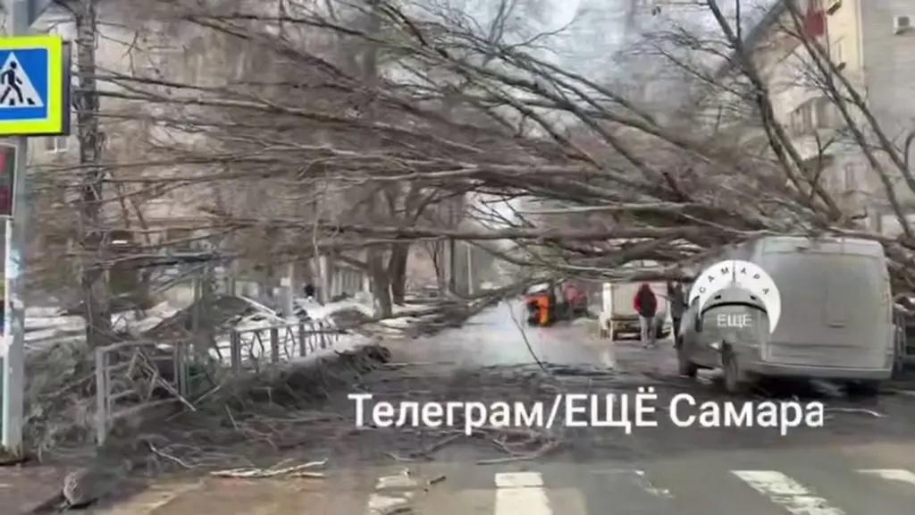 Огромное дерево упало на авто и заблокировало проезд по Средне-Садовой в Самаре