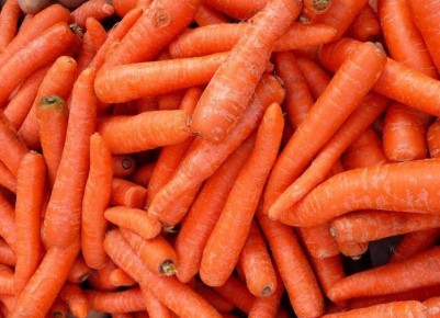 ������ ������ ����� ������� ��� ������ �������