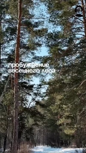 ����������� ���� ����� ����