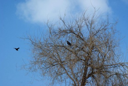 ���������� �� +9 �������� ��������� � ��������� ������� � �������� ������