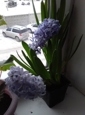 ���������� ��������: ������� �������� ������� � ����������� �������