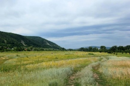 Суд вернул муниципалитету 14 тысяч гектаров земли в Самарской области