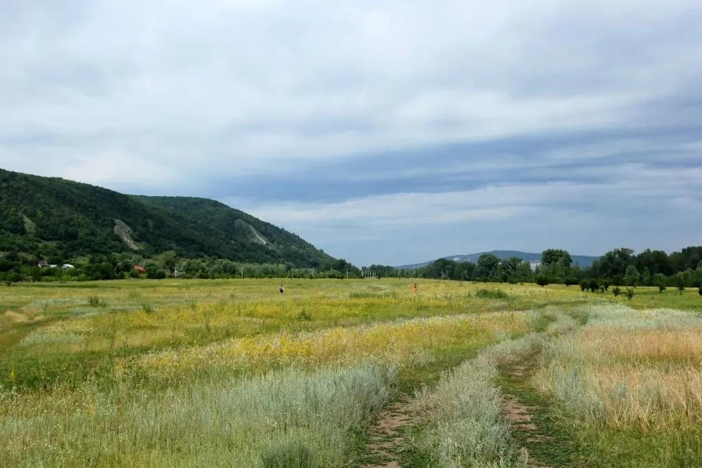 Суд вернул муниципалитету 14 тысяч гектаров земли в Самарской области