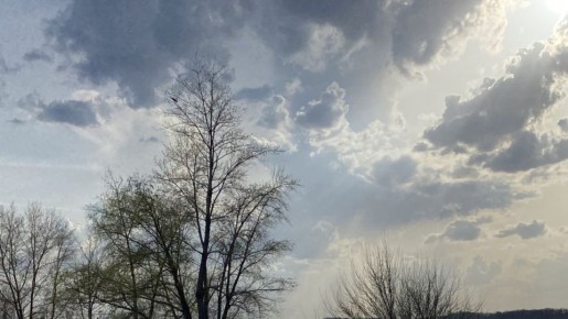 Власти Самары ввели ограничения на использование территории Мазутных озёр в Кировском районе