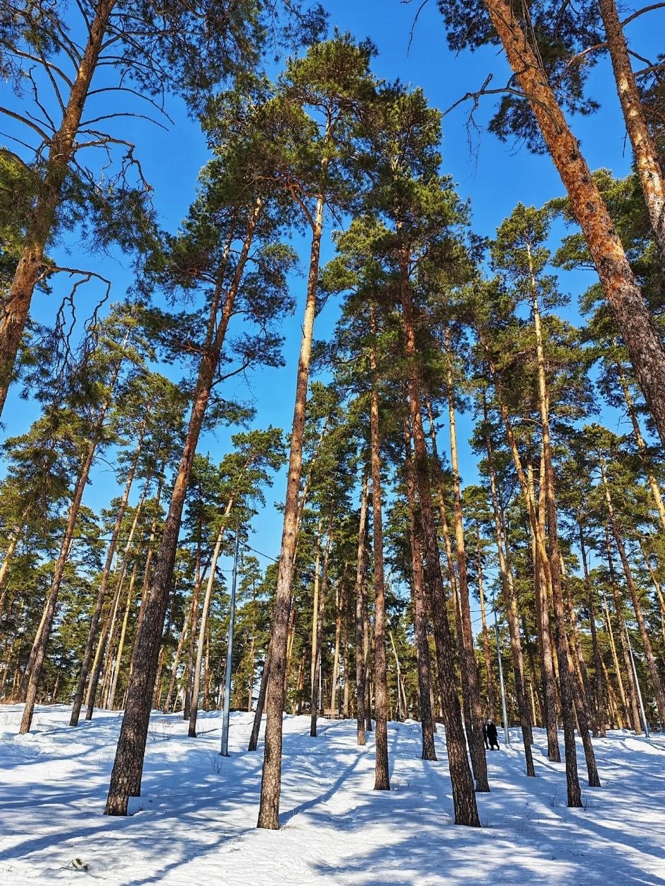 Всем доброго, солнечного утра Всем доброго, солнечного утра