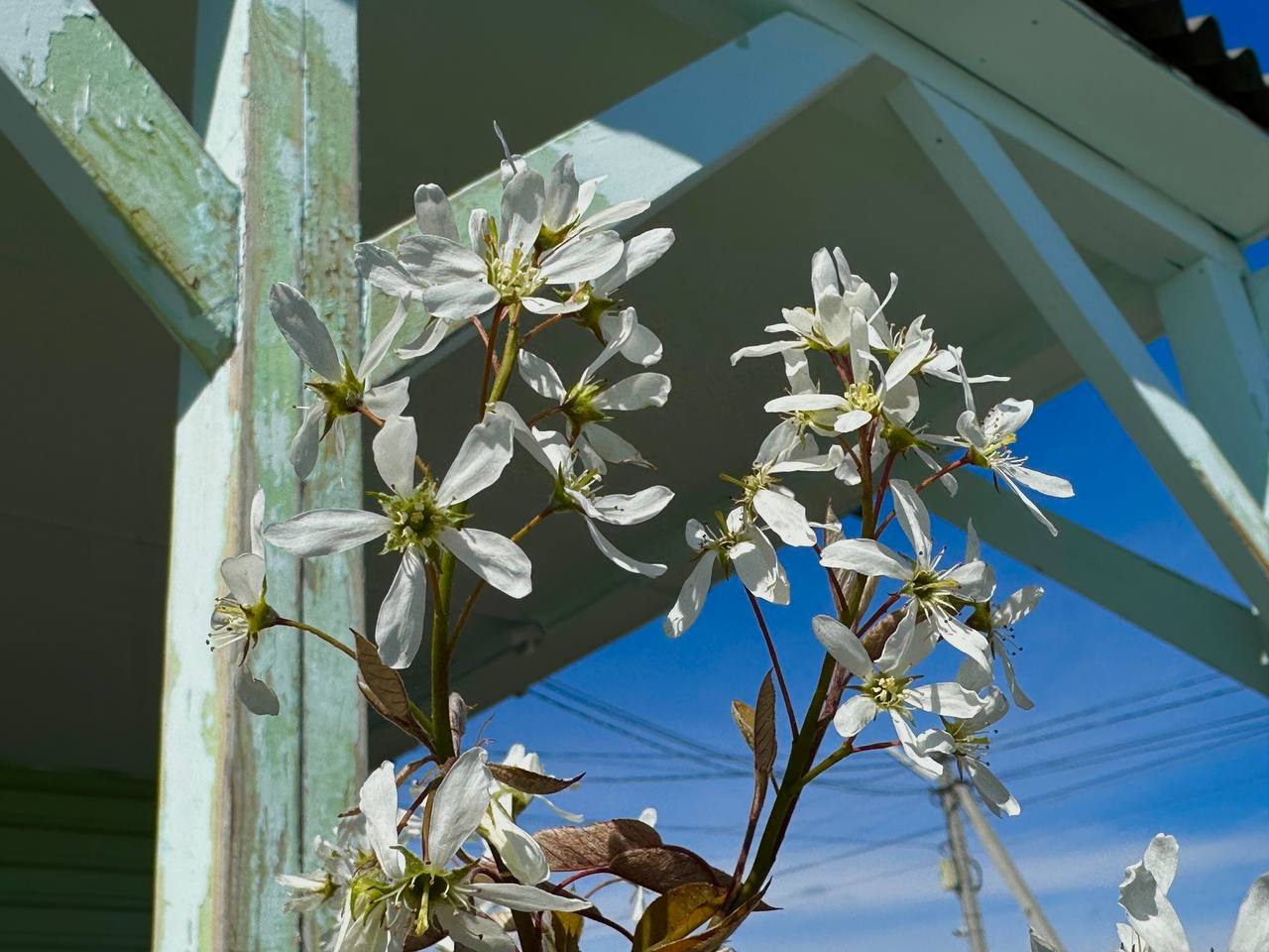 Доброе утро!. 21 марта температуру воздуха поднимется до +3...+8 °C Синоптики прогнозируют переменную облачность, без осадков, утром местами туман Ветер северный, северо-западный, 3...8 м/с Не прогружаются текст сообщения...