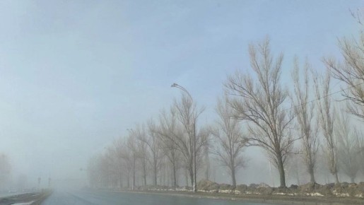 Осторожно – туман!. По информации Приволжского УГМС, ночью и утром 22 марта местами по Самарской области ожидается туман при видимости до 500 м и менее