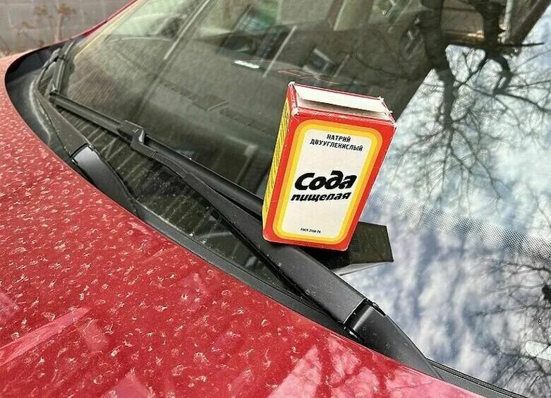 Сода против дождя: как простой лайфхак спасает водителей в непогоду