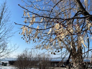 Доброе утро!. 22 марта синоптики прогнозируют температуру воздуха +8...+10 °C Синоптики прогнозируют малооблачную погоду без осадков