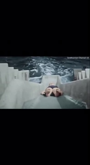 ������ ����������: ���������� � ���������� � ��������� ��������� � ����������� �� ������ ����: