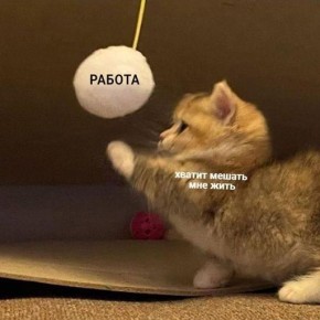 Доброе рабочее утро!. День сегодня у нас такой, что работать совсем не хочется - малооблачно, без осадков, ветер неустойчивый слабый