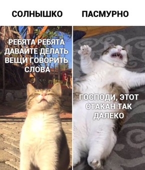 ����� � ����� �� +17: ����� ������ ���� �������� �� ���� ������?