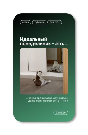 Фитнес укрепляет дух и волю