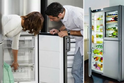 Как выбрать лучший холодильник для семьи из четырёх человек: No Frost или капельная система?