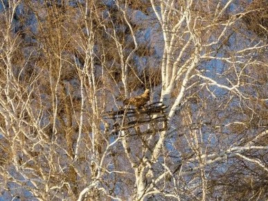 ��������� ���� ��������� � ��������� ������� � �������� �������