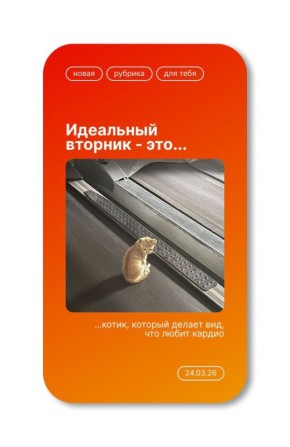 ����������� - ��� ������� ��������