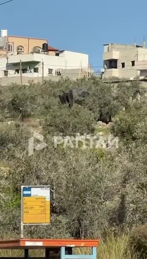 � ����������� ������� ������ ���������� � ����� ��������� � ���� �� ����� �����