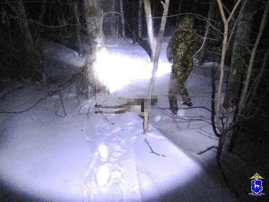 ���������� ������� ��������� ������ ������������ ������ �� ���������� � ���������� �����