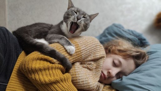 �������� ������� ��� ������� ���������� ����������� �����