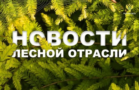 ����: �������������� ����������� 1,6 ���