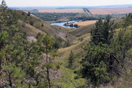 � ��������� ������� �������� ���������� ��� ��������������� ����� ���������� ��������� ����������