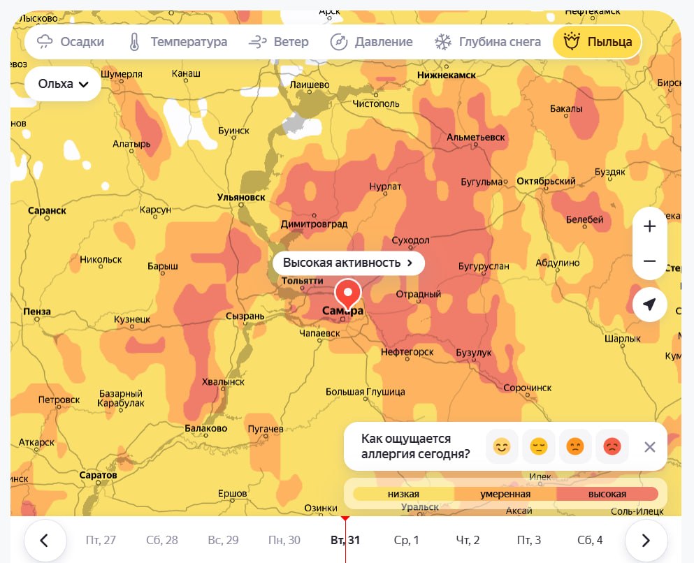 Пыльца атакует! Грядут тяжелые дни для аллергиков