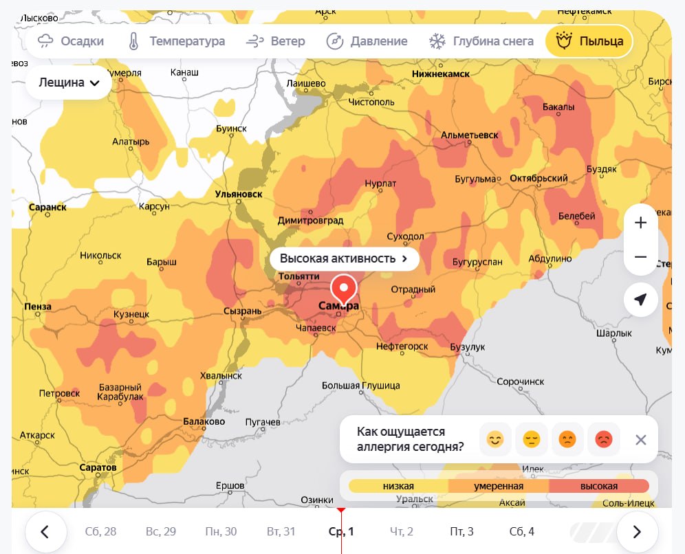 Пыльца атакует! Грядут тяжелые дни для аллергиков Пыльца атакует! Грядут тяжелые дни для аллергиков