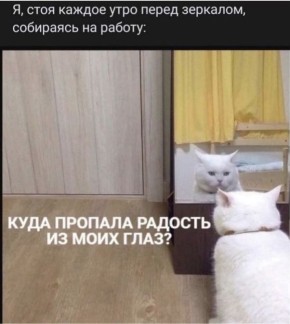 Доброе туманное утро!. Сегодня, по прогнозам синоптиков, будет облачно, местами пройдет небольшой дождь, в первую половину дня туман