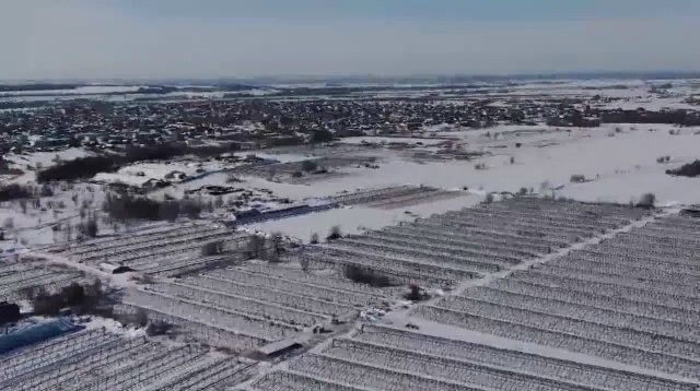 5 обнаруженных в Самарской области при помощи БПЛА мигрантов-нарушителей выдворят из страны 5 обнаруженных в Самарской области при помощи БПЛА мигрантов-нарушителей выдворят из страны
