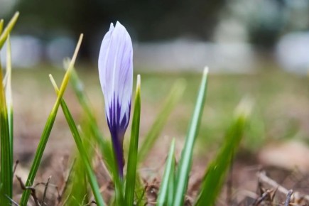 � ��������� ������� ������������ ������ �����������