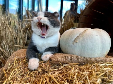 Доброе утро! 26 марта синоптики прогнозируют температуру воздуха +6...+11°C Ожидается облачная погода, местами небольшой дождь, туман в первой половине дня Ветер восточный, 3...8 м/с Не прогружаются текст сообщения, фото и...