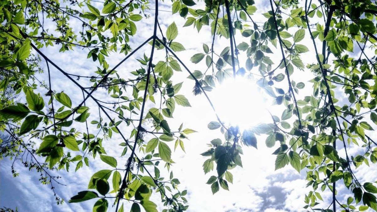 Синоптики рассказали, какими будут последние выходные марта 2026 в Самарской области