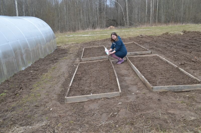 Как сделать землю мягче: секреты успешного огородника