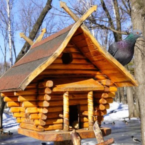 Весна в парке Гагарина. Ещё чуть-чуть и снег окончательно растает, а всё вокруг вновь зазеленеет Фото: Александр Затонский