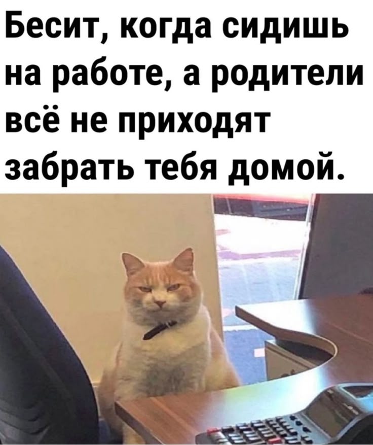 Доброе пятничное утро!. Сегодня нас ждет отличная погода - переменная облачность, без осадков, утром местами туман