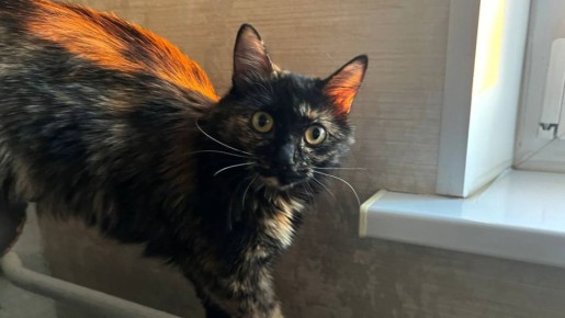 ������� 2200 ����� � ��������� ������� ��������� �������� �� ���������