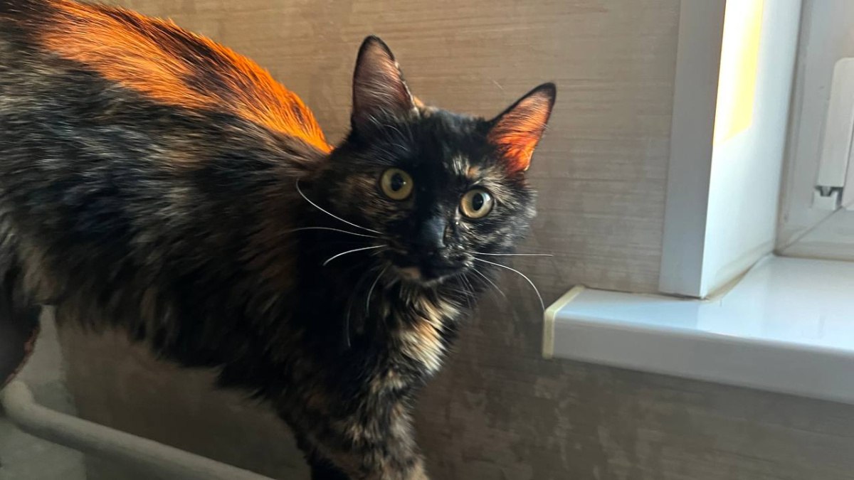 Жителям 2200 домов в Самарской области возвратят средства за отопление