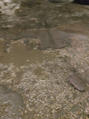 ������� ������������ �� ��������� �������������� ������ �� ����� �����������, ����� ����� 154,152,150