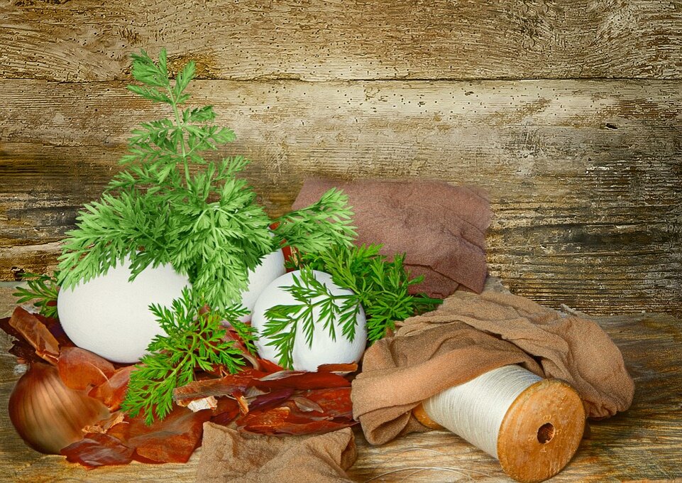 Как старые капроновые колготки могут изменить вашу жизнь