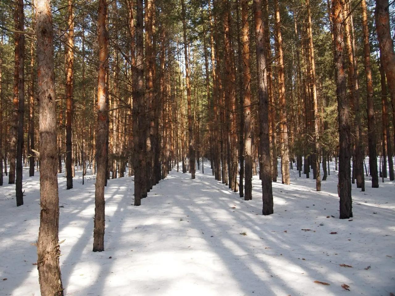 Межсезонье с яркими красками