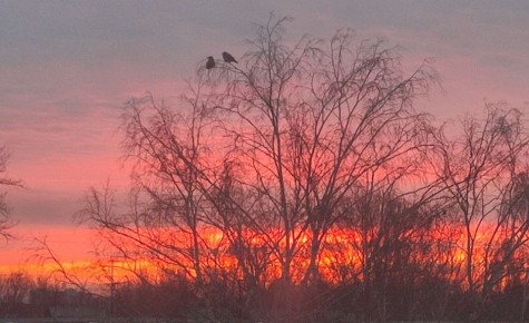 ������ ����!. 29 ����� ����������� ������� ���������� �� +6...+15 �C ��������� ������������ ��������� ������