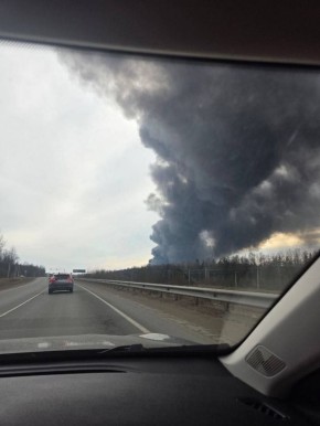 ���� ����: ���� ��� ����� ����� 203 ���������� ���� ��� 20 ���������� ��: