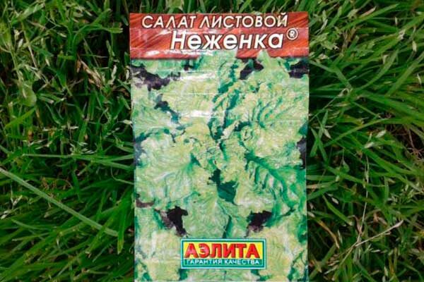 Салат Неженка: секреты успешного выращивания и ухода