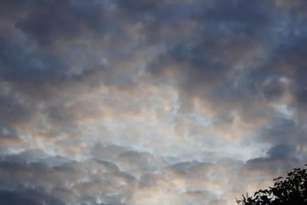 БПЛА атаковали промышленное предприятие в Тольятти