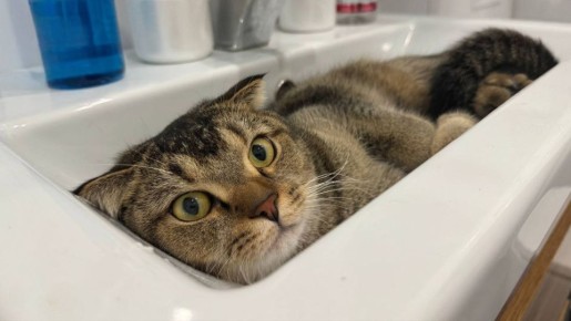 В Самаре десятки домов временно останутся без холодной воды 30 марта