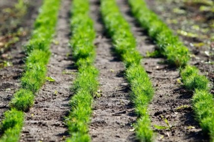 � ���� ���� � ��������� ������� ������������� ������������������ � �������������� �� >850 ��������: 404 ������� ������� ��� ������������������, � 447 �������� � ��� ��������������