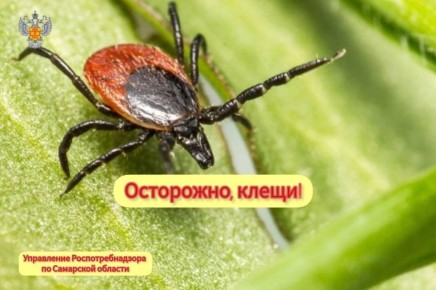 ��� ��������� ������ �� �������� ��������, � ������, ����������� � �� ������ ��������