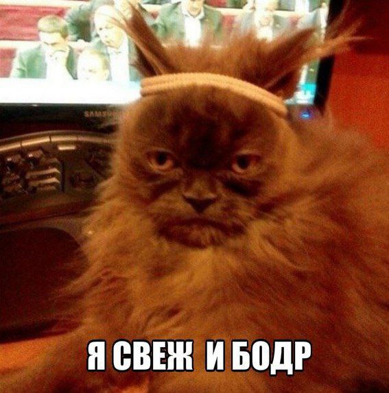 Доброе утро, друзья!. Надеемся, вам удалось выспаться, ночка была непростой