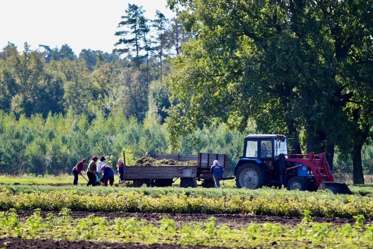 В этом году в Самарской области запланированы лесовосстановление и лесоразведение на >850 гектарах: 404 гектара отведут под лесовосстановление, а 447 гектаров – под лесоразведение В этом году в Самарской области запланированы лесовосстановление и лесоразведение на >850 гектарах: 404 гектара отведут под лесовосстановление, а 447 гектаров – под лесоразведение