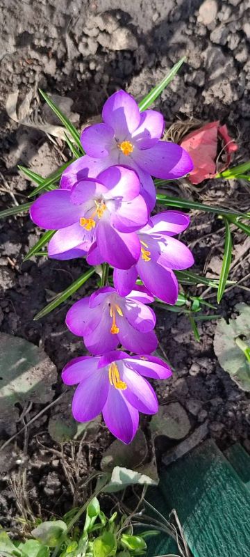 �������� ������� ��������� ������ ������, ����� ����� ����� �����